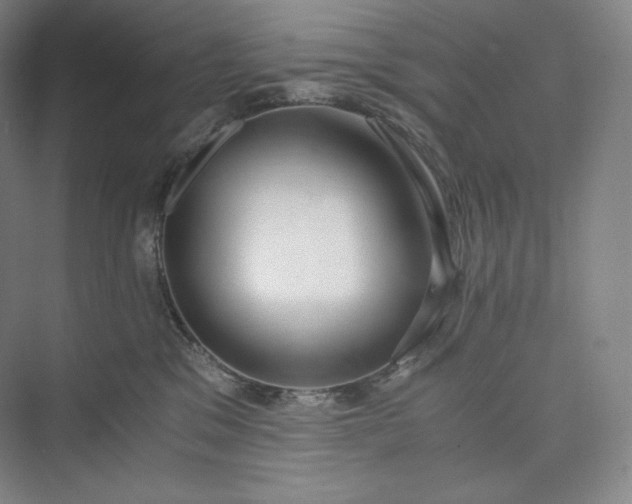 X0000073470329200608111542