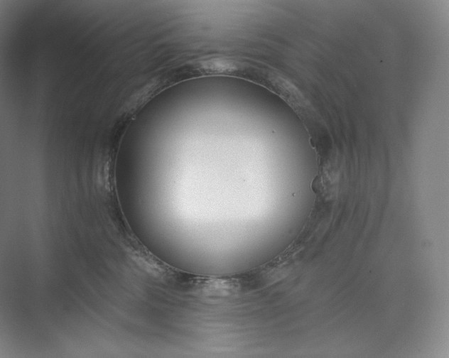 X0000073470330200608111542