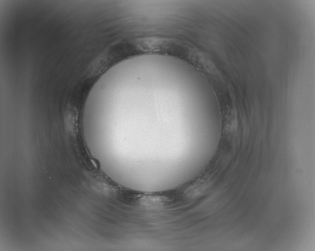 X0000073470332200608111542