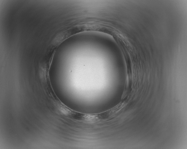 X0000073470333200608111542