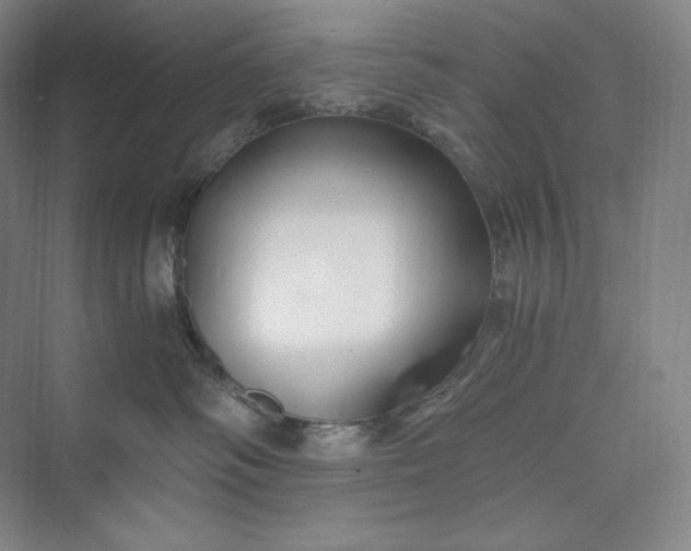 X0000073470334200608111542