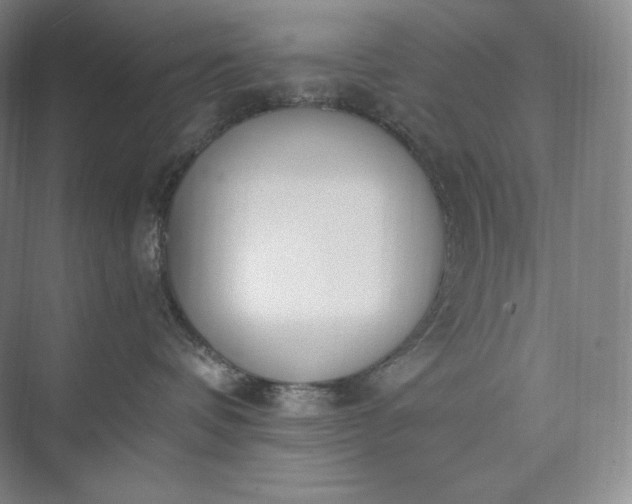 X0000073470336200608111542