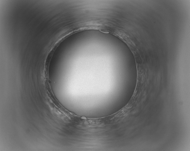 X0000073470338200608111542