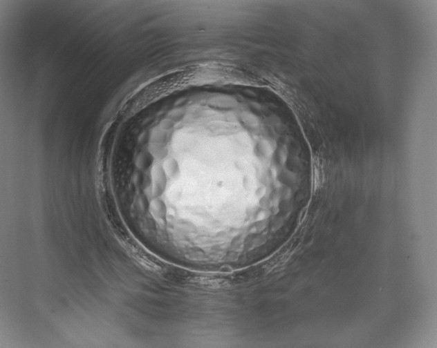 X0000073470339200608111542