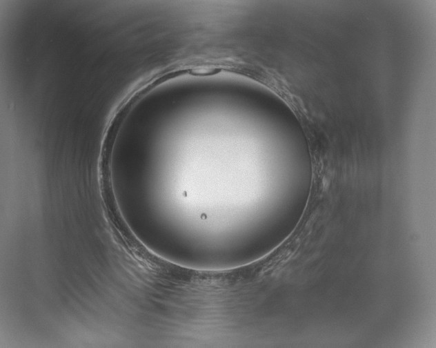 X0000073470340200608111542