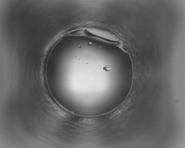 X0000073470341200608111542