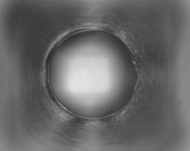 X0000073470342200608111542