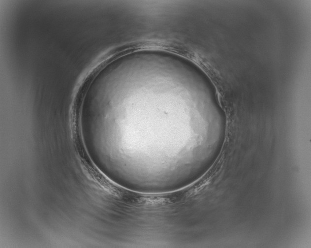 X0000073470343200608111542