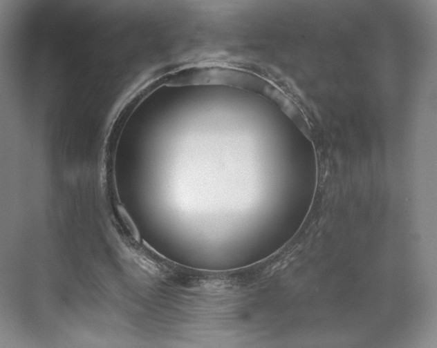 X0000073470344200608111542