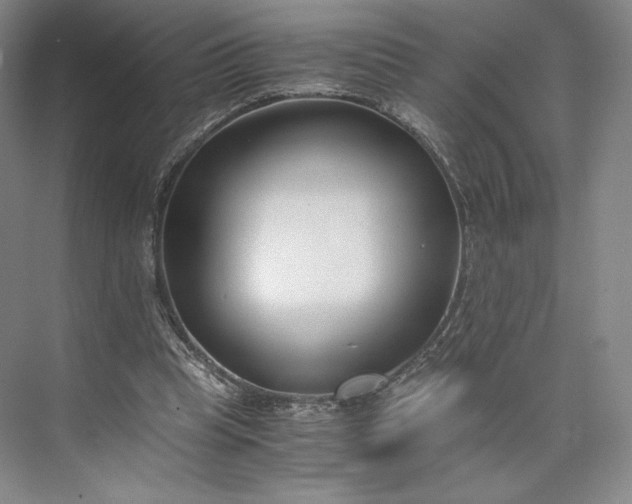 X0000073470345200608111542