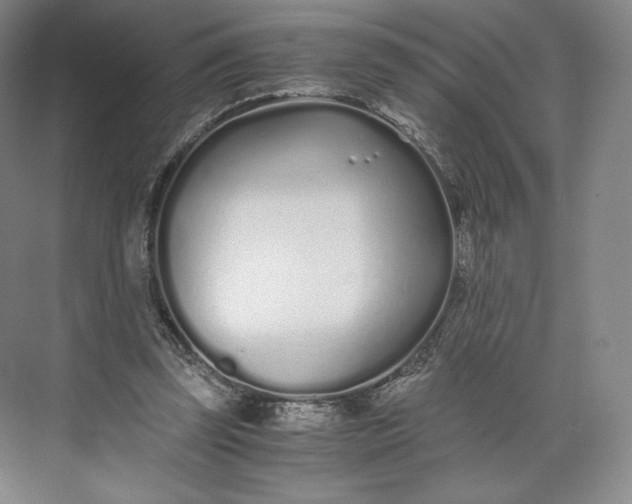 X0000073470347200608111542