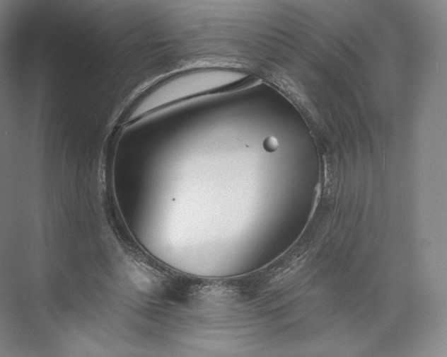 X0000073470348200608111542