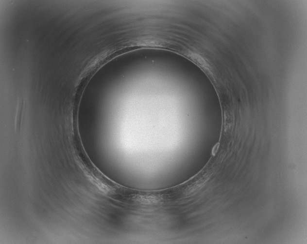 X0000073470349200608111542