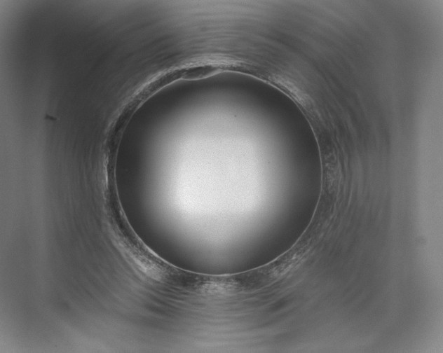 X0000073470350200608111542