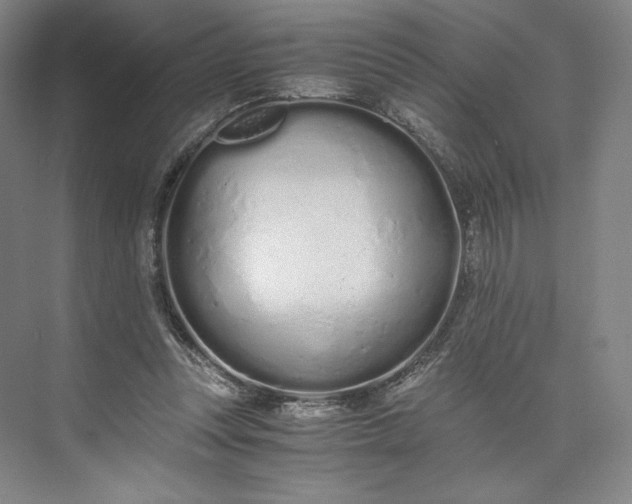 X0000073470351200608111542