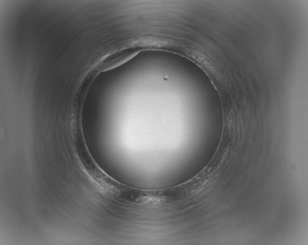 X0000073470352200608111542