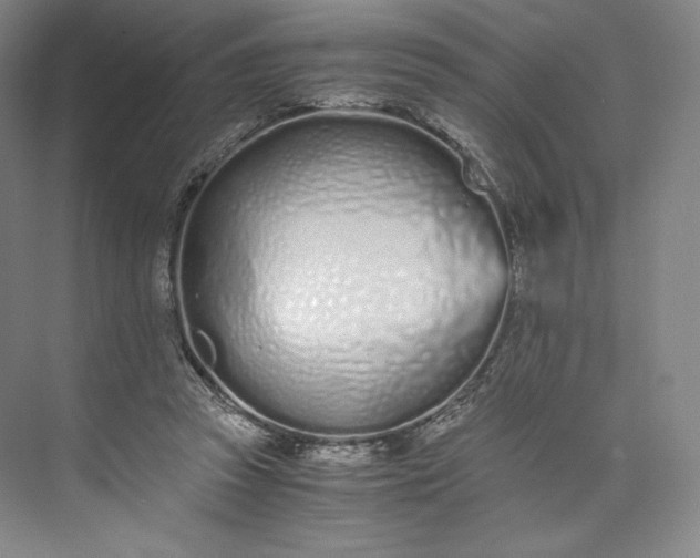 X0000073470353200608111542