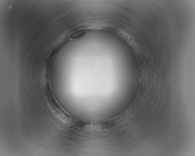 X0000073470354200608111542