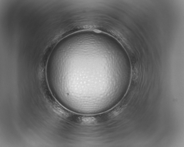 X0000073470355200608111542