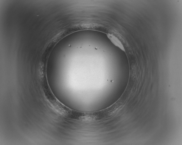 X0000073470356200608111542