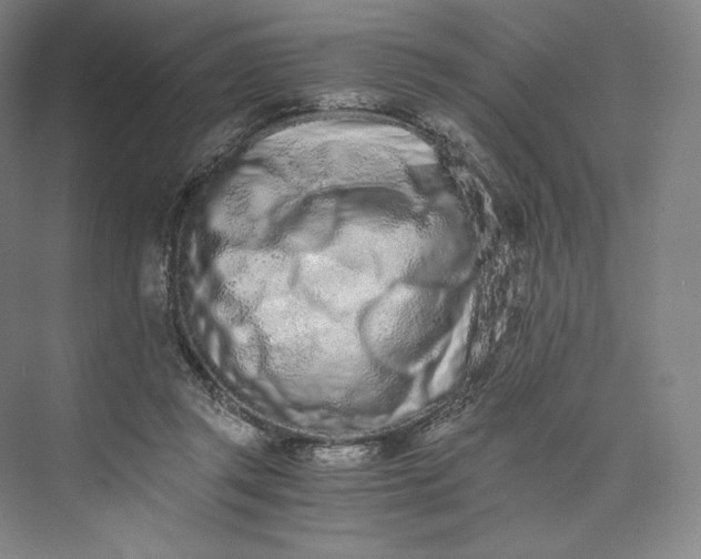 X0000073470357200608111542