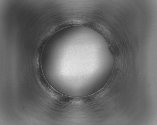 X0000073470358200608111542