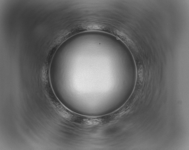 X0000073470359200608111542