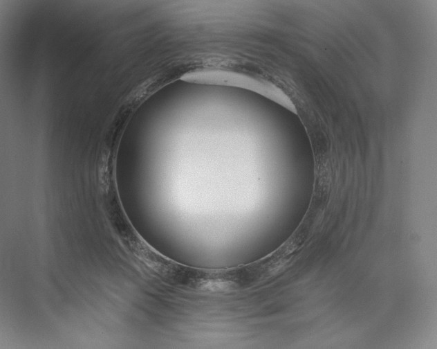 X0000073470360200608111542