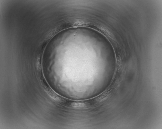 X0000073470361200608111542