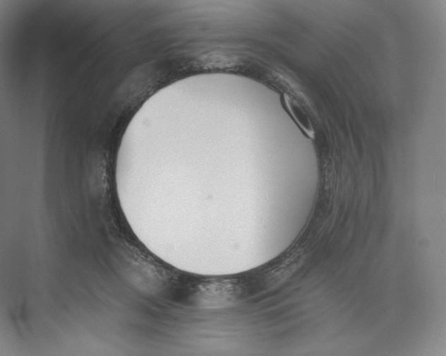 X0000073470362200608111542