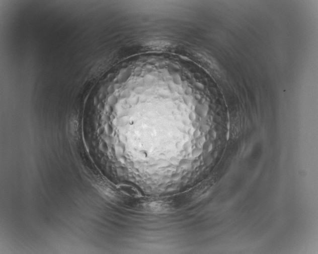 X0000073470365200608111542