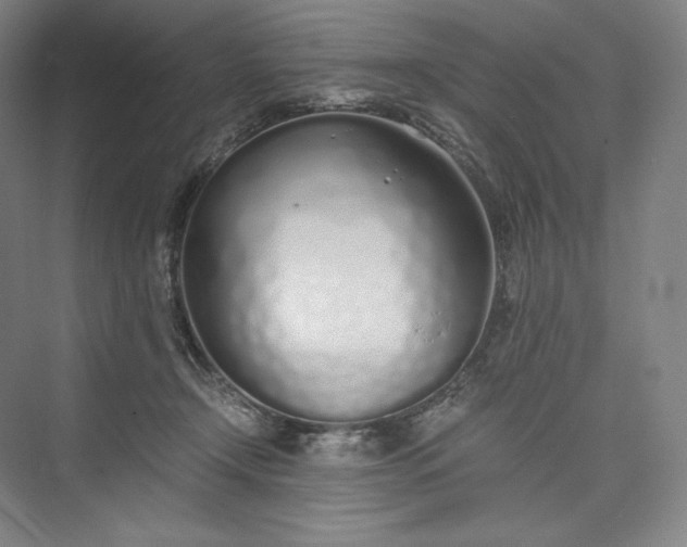 X0000073470366200608111542