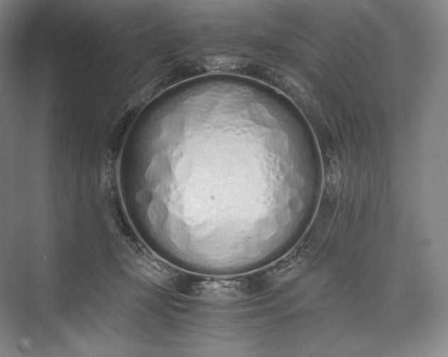 X0000073470367200608111542