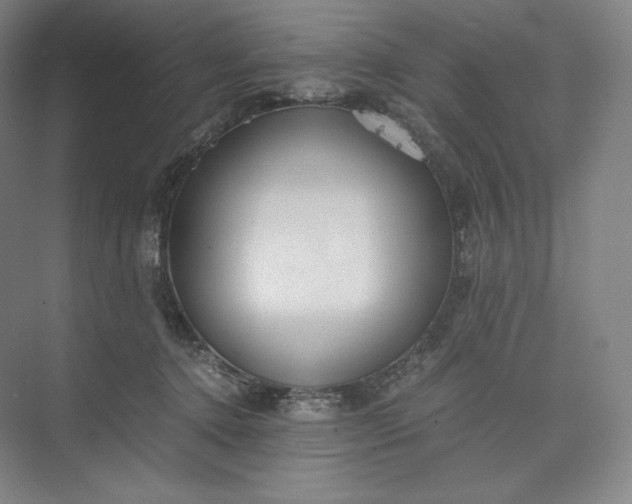 X0000073470368200608111542