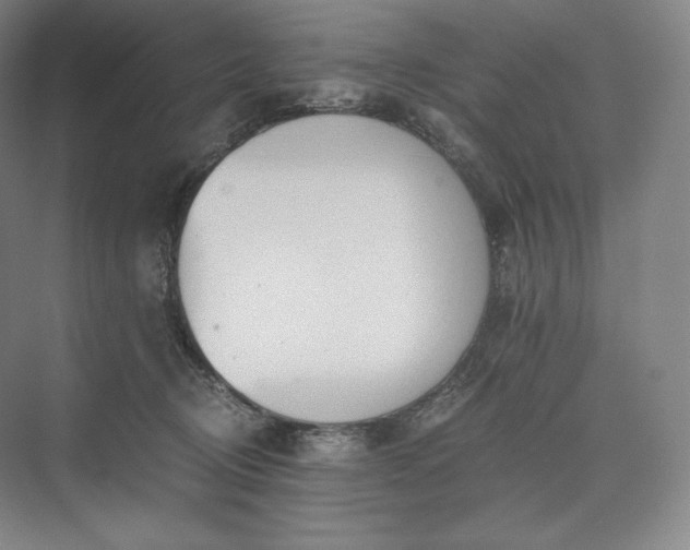 X0000073470370200608111542