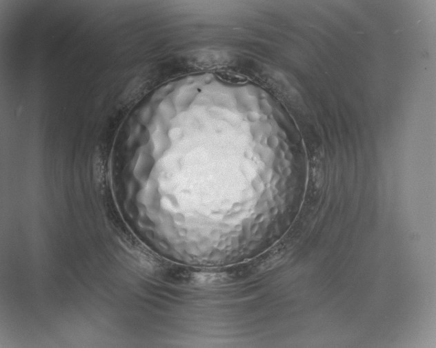 X0000073470371200608111542