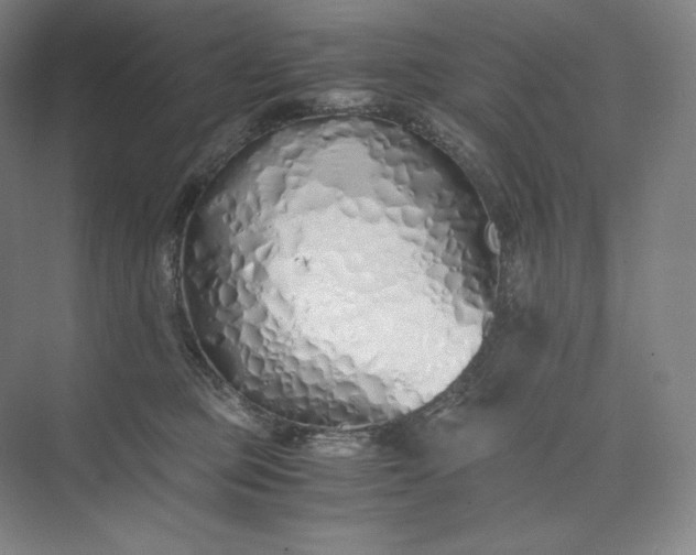 X0000073470373200608111542