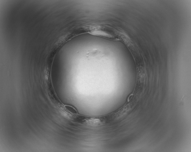 X0000073470374200608111542