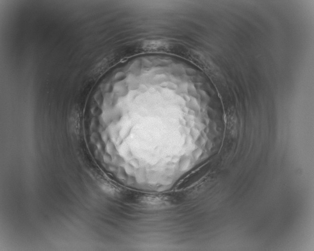 X0000073470375200608111542