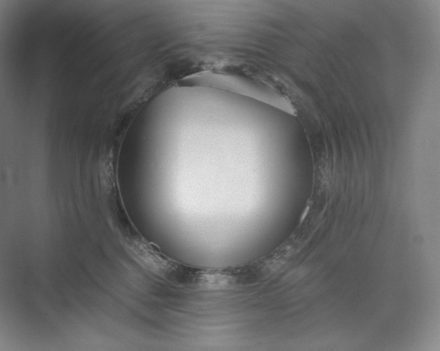 X0000073470376200608111542