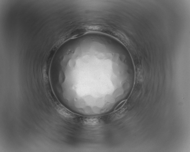 X0000073470377200608111542