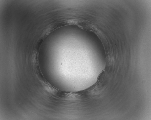 X0000073470379200608111542