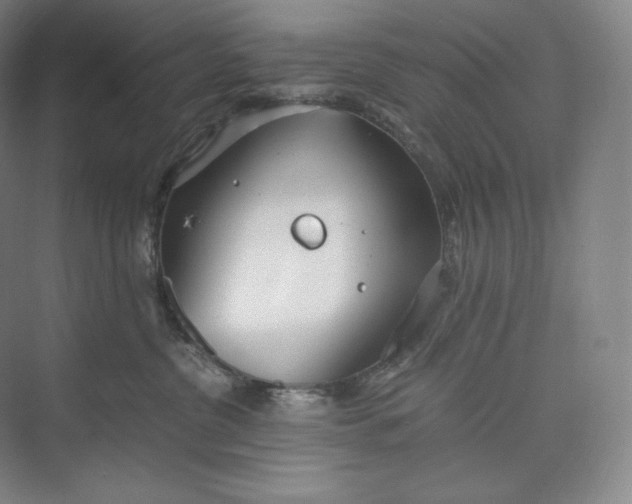 X0000073470380200608111542