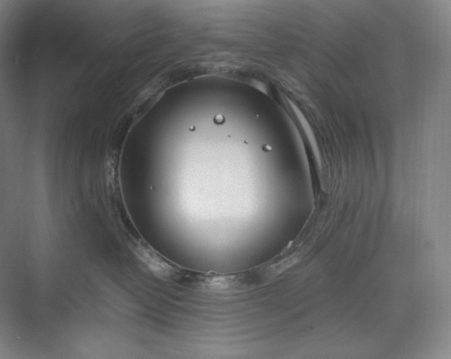 X0000073470382200608111542