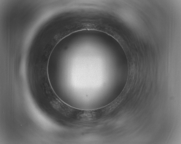 X0000073470383200608111542