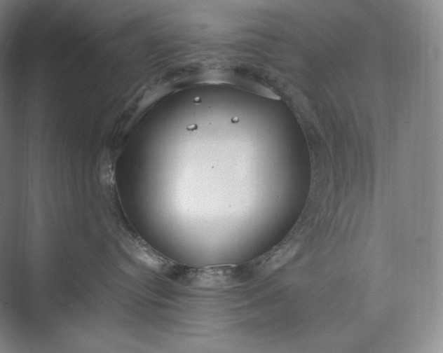 X0000073470384200608111542