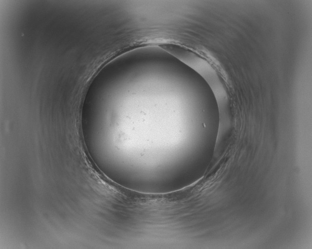 X0000073470385200608111541