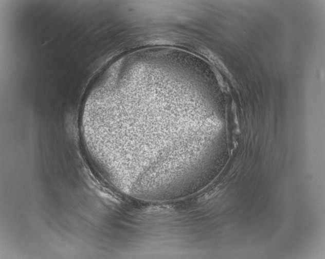 X0000073470386200608111541