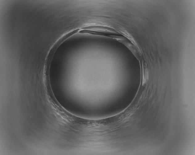 X0000073470387200608111541