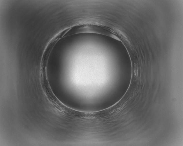 X0000073470388200608111541